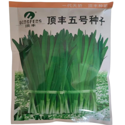 济南顶丰五号韭菜种子高产不休眠宽叶白根韭菜种籽耐寒韭宝抗病