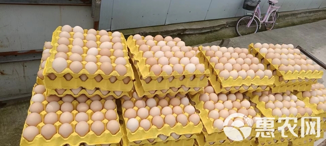 【散养土鸡蛋批发】35-38斤 粉壳土鸡蛋  基地直销