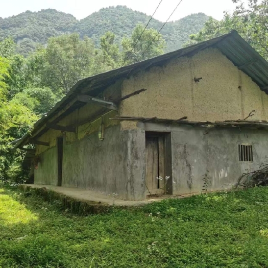 重庆市重庆武隆100平民房出zu