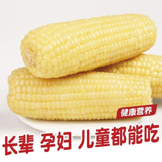 东北白糯玉棒真空包装白糯玉米早餐代餐即食粘玉米。一袋包邮到家