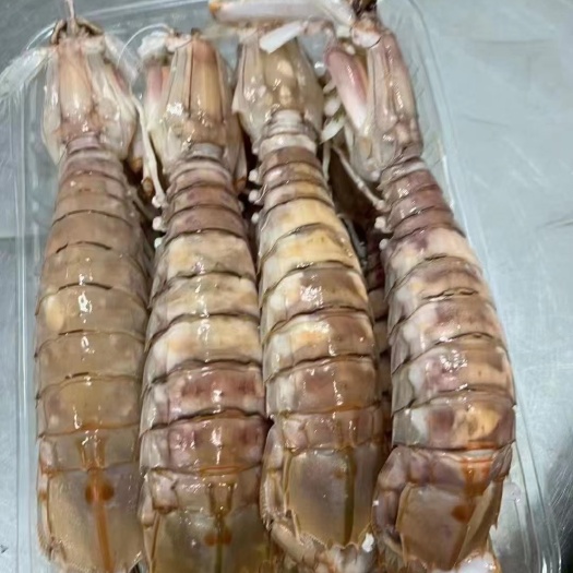 北海北海活煮皮皮虾，爬爬虾，濑尿虾，高品质！适合各种餐饮使用