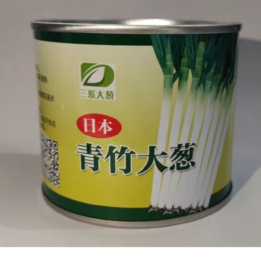 菏泽日本钢葱种子 基地专用日本青竹大葱钢葱铁杆葱