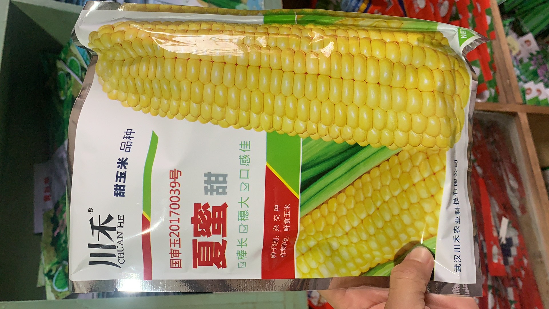 赣州川禾夏蜜 甜玉米种子 超大棒 矮杆