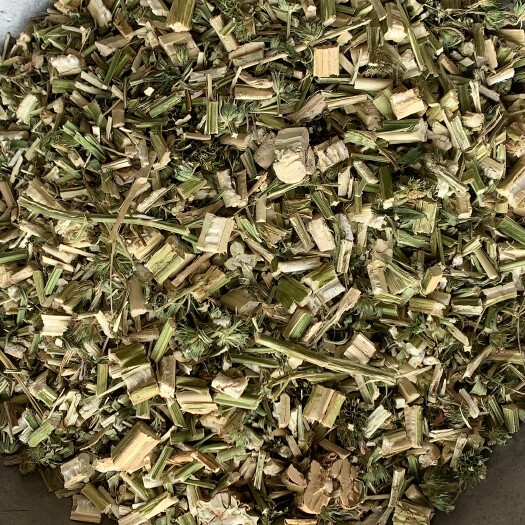 益母草