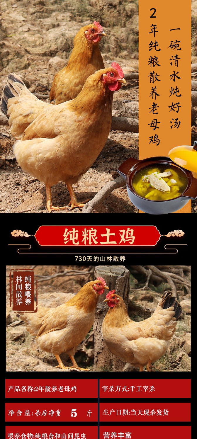 【順豐包郵】深山2年老母雞農(nóng)家散養(yǎng)土雞柴雞草雞笨雞走地月子雞