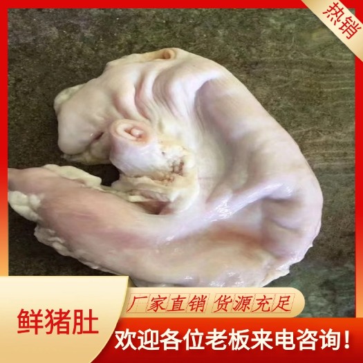 广州优质鲜货猪肚，大个厚实，口感劲道，长期供应。