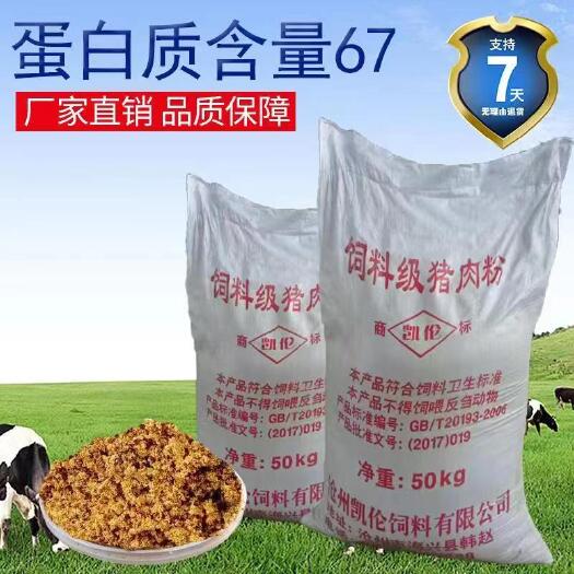 海兴县批发饲料级猪肉粉宠物专用 猪肉粉水产饲料
