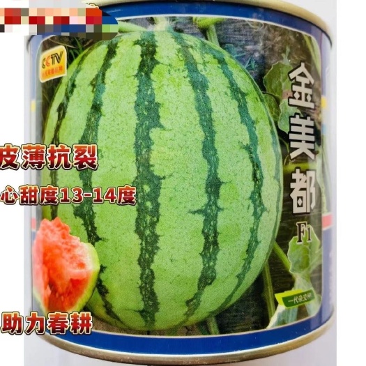 沭阳县美都西瓜种子金美都西瓜种子红瓤耐裂早熟大果美都麒麟京欣圆瓜种