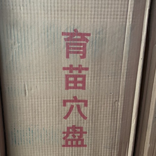 育苗穴盘