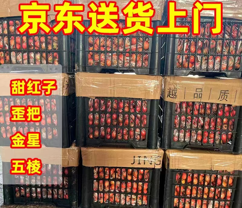 枣庄新鲜山楂果商用批发一件包邮40斤大五棱，超金星，大金星甜红子