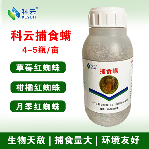 生物防治虫 加州捕食螨防治草莓红蜘蛛柑橘月季茶树害螨无污染
