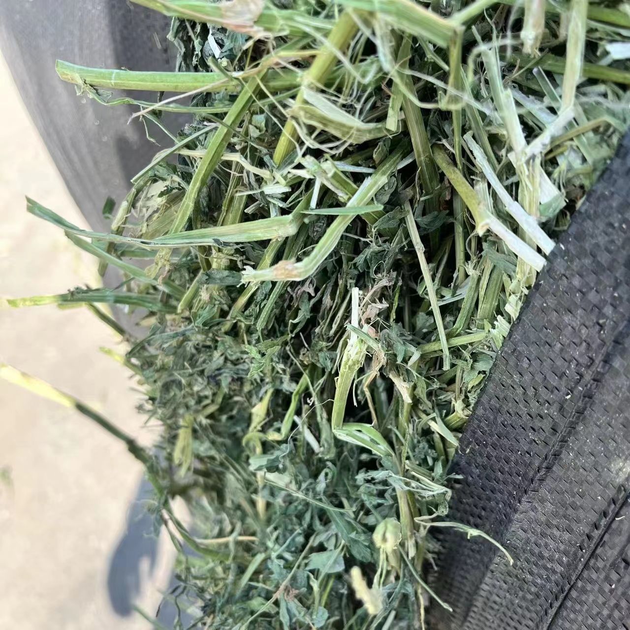 济南苜蓿草饲料牛羊草牧草宠物饲料