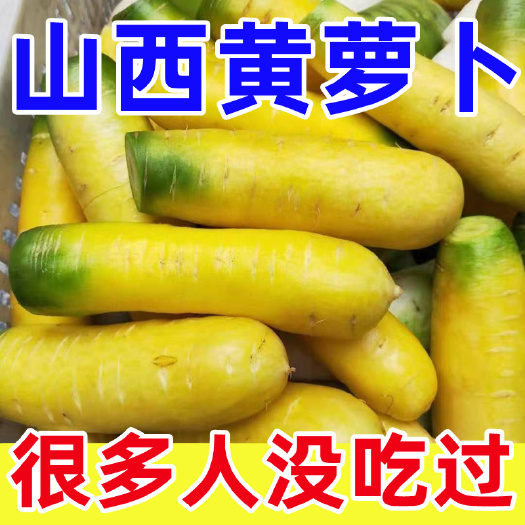 临猗县山西运城黄胡萝卜批发冷库商品黄胡萝卜