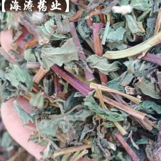 鄄城县【薄荷】卜合自产自销本地新货无硫大货供应规格齐全量大优惠。