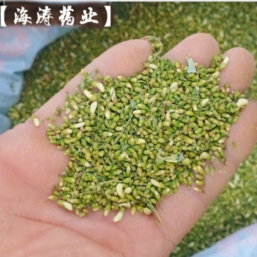 【槐米】【槐花】本地新货无硫实物拍摄道地药材一手货源大货供应