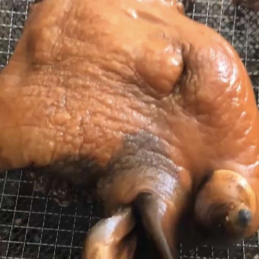 阳信县五香牛头肉，以优质国产公牛头加工而成，全去骨去淋巴厂家直销