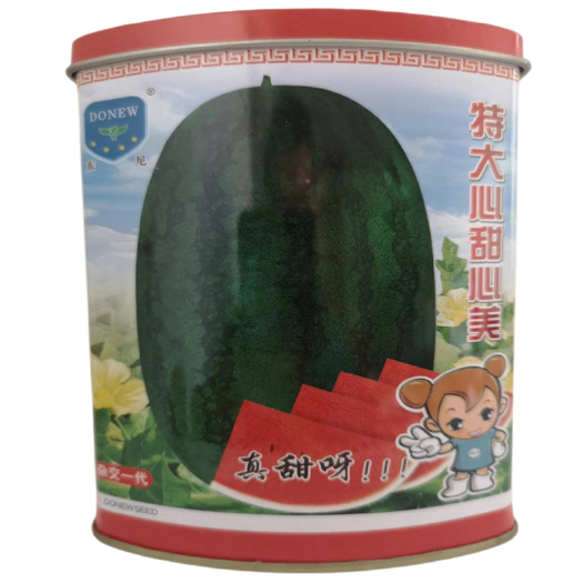 济南特大心甜心美西瓜种子高产懒汉王西瓜种子抗重茬丰收三号种子