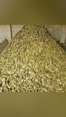 郓城县厂家直销棉籽饼，棉籽饼纯绿色有机肥。含有机质高，保证质量