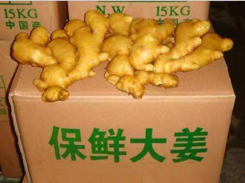 沂水县山东大黄姜，产地种植，一手货源，颜色好看，支持全国发货，好货