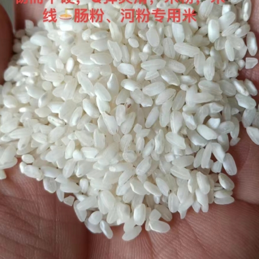 阜南县桂朝米
