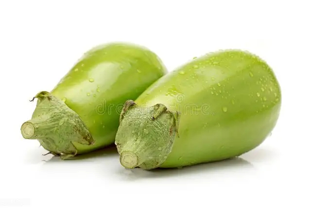 随县茄子