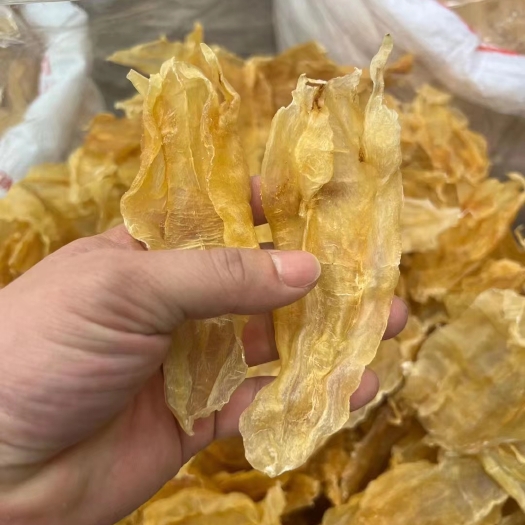汕头50头北海公肚 老蜡 含丰富的高胶原蛋白质 具滋阴养容最适宜