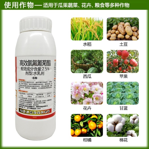 高氯氟氰菊酯土壤杀虫剂果树花卉蔬菜青虫蚜虫氯氟菊酯杀虫剂