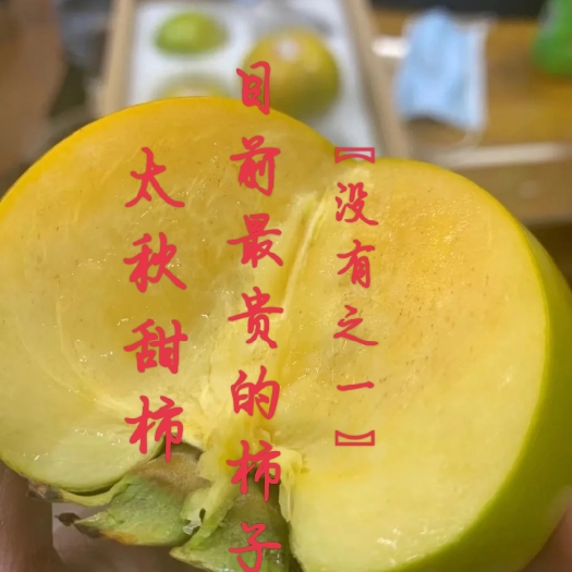 达州太秋甜柿果树苗