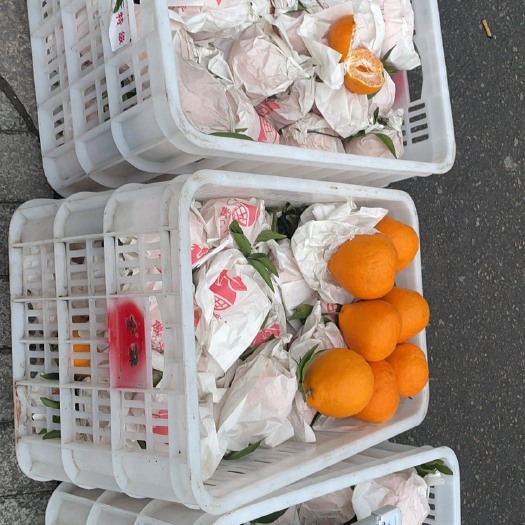 乐清市耙耙柑