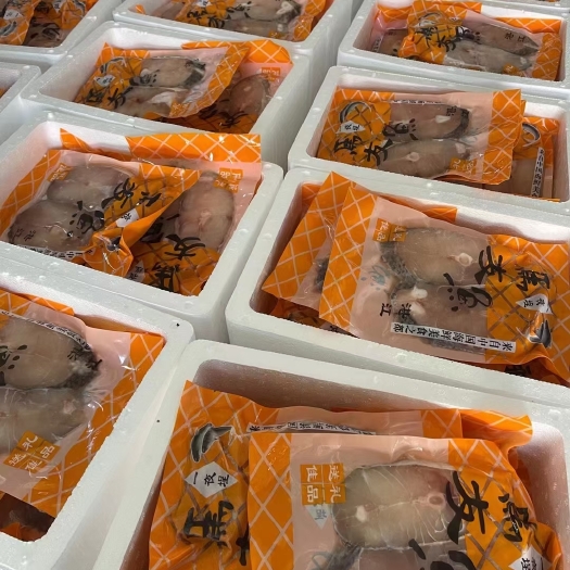 湛江冰鲜一夜埕马友鱼