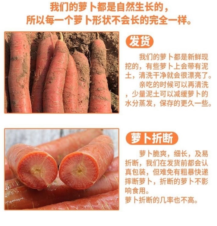 【生吃可当水果】胡萝卜