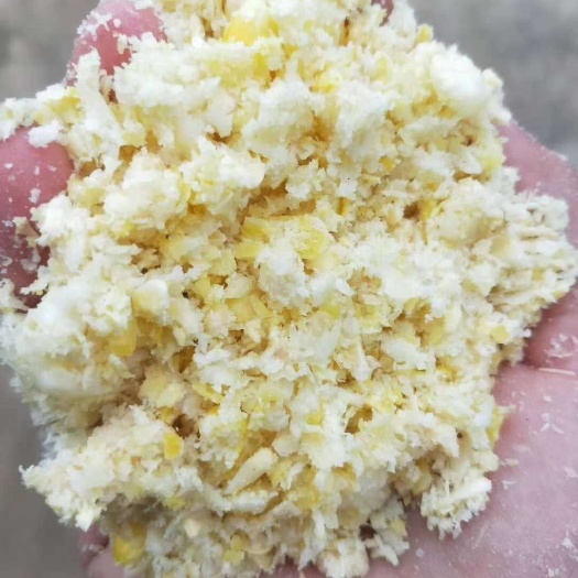 高安市现货供应低温烘焙熟玉米    适合大部分家畜饲料 价格实惠