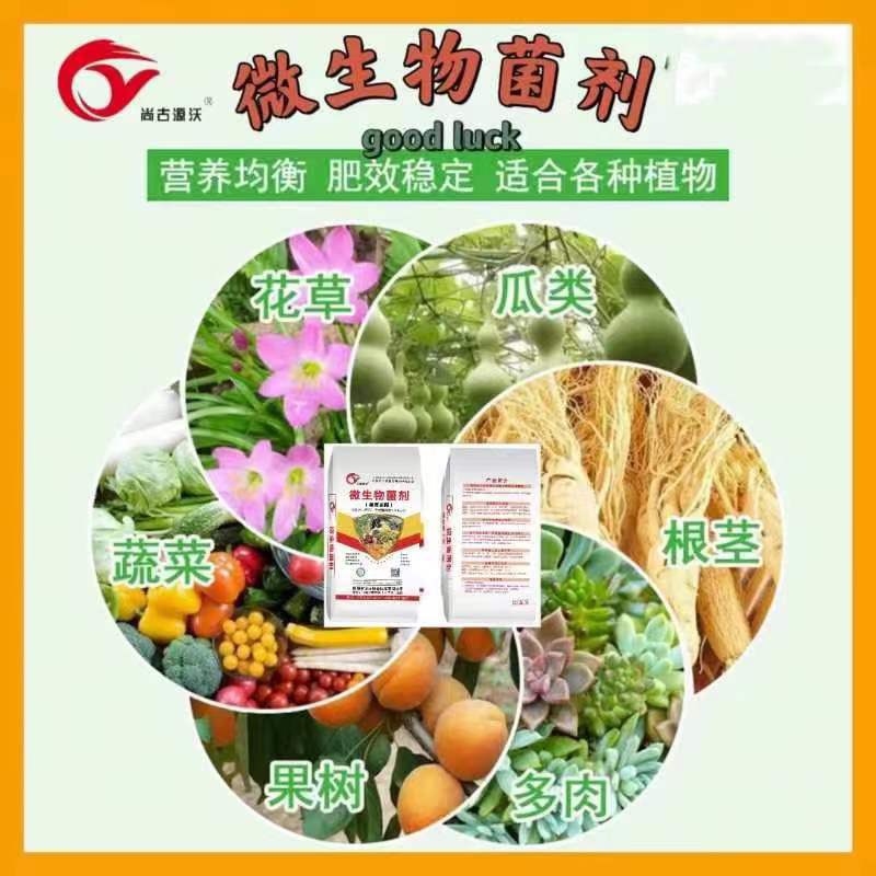 微生物有机肥  复合微生物肥料 颗粒型