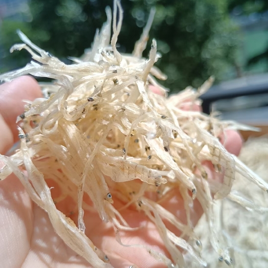 乳源县淡水银鱼干