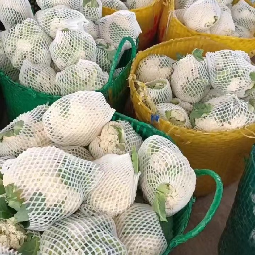横州市广西精品白花菜，可配西兰花，价格美丽