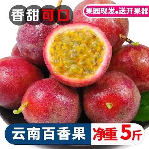 玉溪云南紫皮百香果【一件代发】