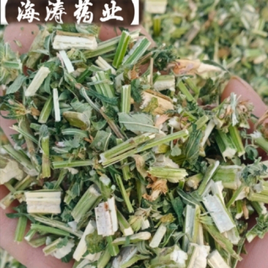 【益母草】本地新货实物拍摄一手货源大货供应规格齐全量大优惠。