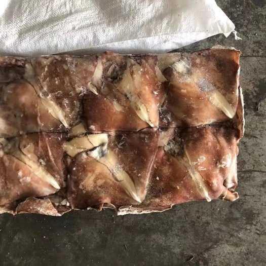 烟台秘鲁耳1000+
