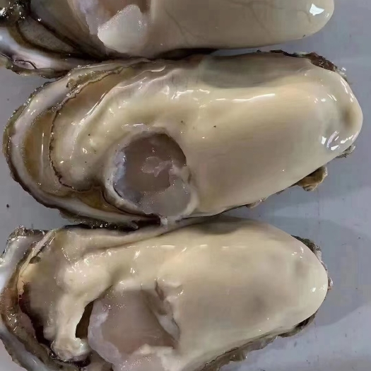 深圳全国最好吃的乳山生蚝，可以生吃的蚝，深圳可以送货上门