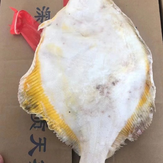 济南偏口鱼单冻一箱7.5公斤 规格400-500 500-700
