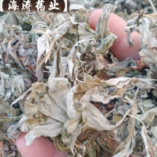 【艾叶】自产自销产地一手货源大货供应规格齐全量大优惠。