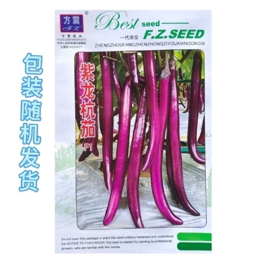 长沙特长线茄种子紫龙杭茄黑紫色茄子秧苗特长四季盆栽蔬菜茄籽种