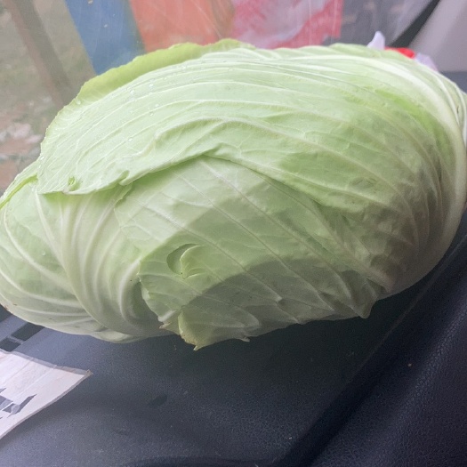 四川包菜（白菜）