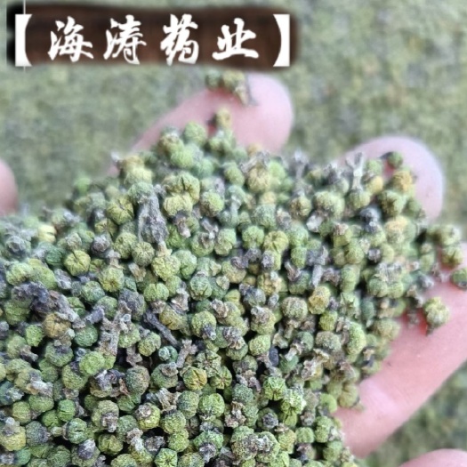 【吴茱萸】大中小色青气味浓，规格齐全，产地直销。