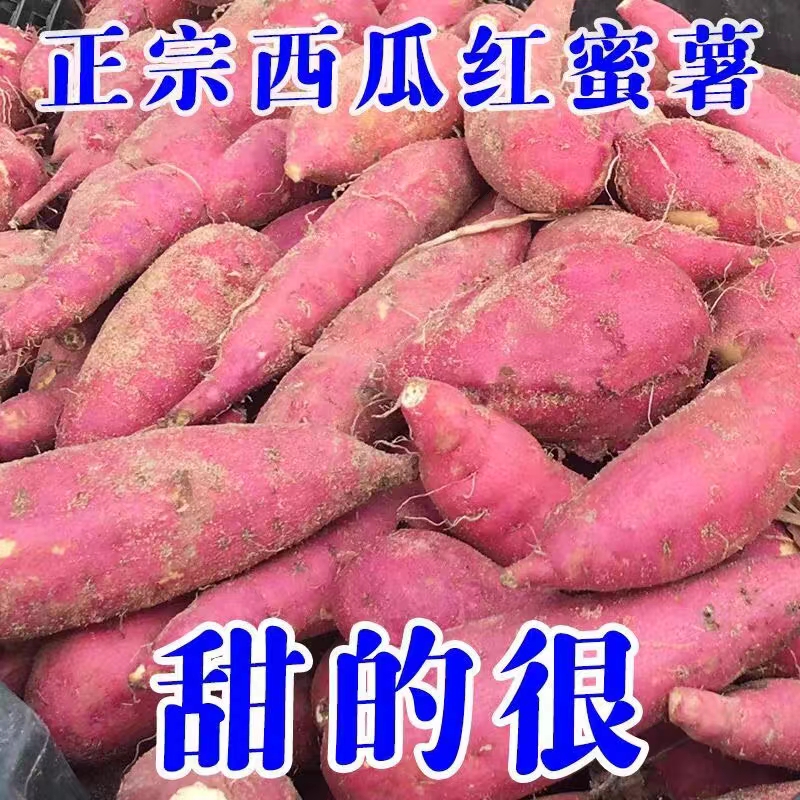 广西西瓜红红薯蜜薯2/5/9斤一件代发包邮批发