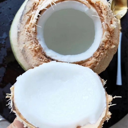 椰青海南特产椰子新鲜水果孕妇青椰一件代发批发零售