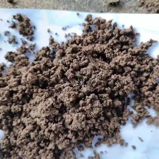合浦县广西木薯湿糟，牛羊饲料，鸭鹅非常好，水分50，散装
