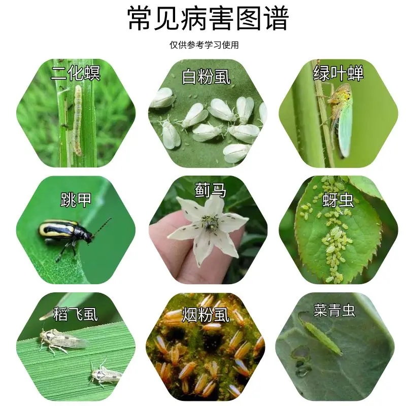 42%啶虫脒哒螨灵青菜叶菜生菜甘蓝黄条跳甲专用杀虫剂
