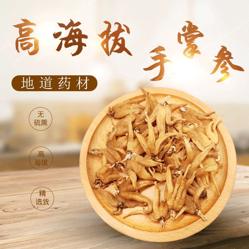 小金县藏区高原手掌参又名佛掌参