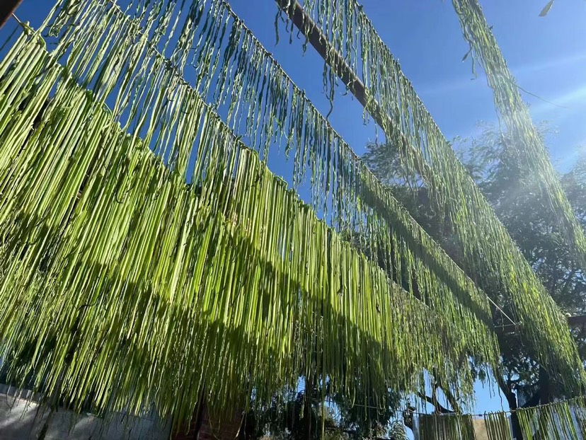 【品质精选】贡菜 响菜苔干贡菜干贡菜精选脱水蔬菜基地批发价格 【品质精选】贡菜 响菜苔干贡菜干贡菜精选脱水蔬菜基地批发价格